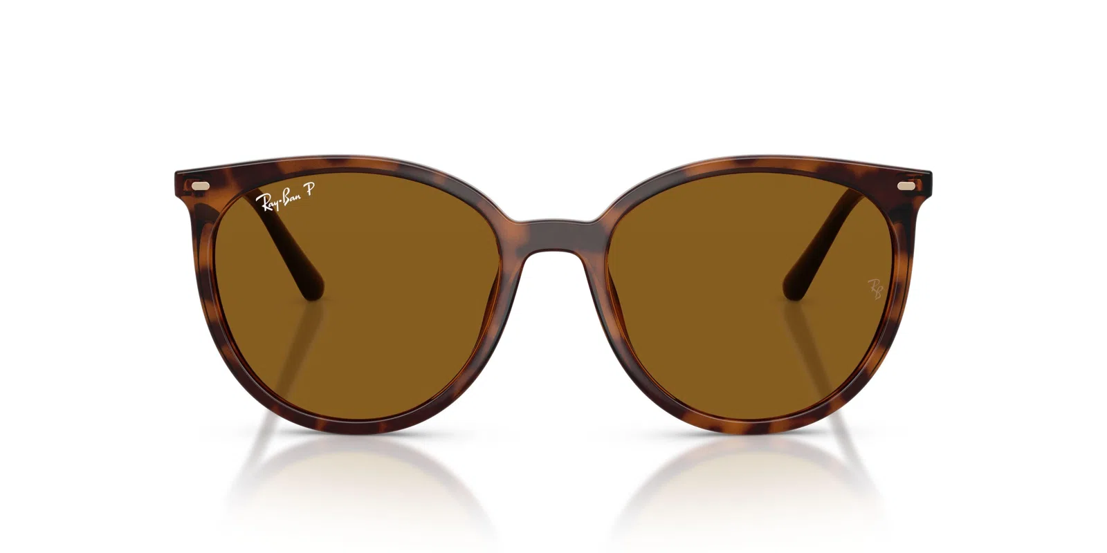 Ray-Ban 4464L Sunglasses - view 22